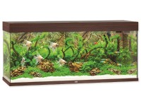 Juwel Aquarium Akvarijní set Rio LED, tmavě hnědý, 240 l, 121 x 41 x 55 cm