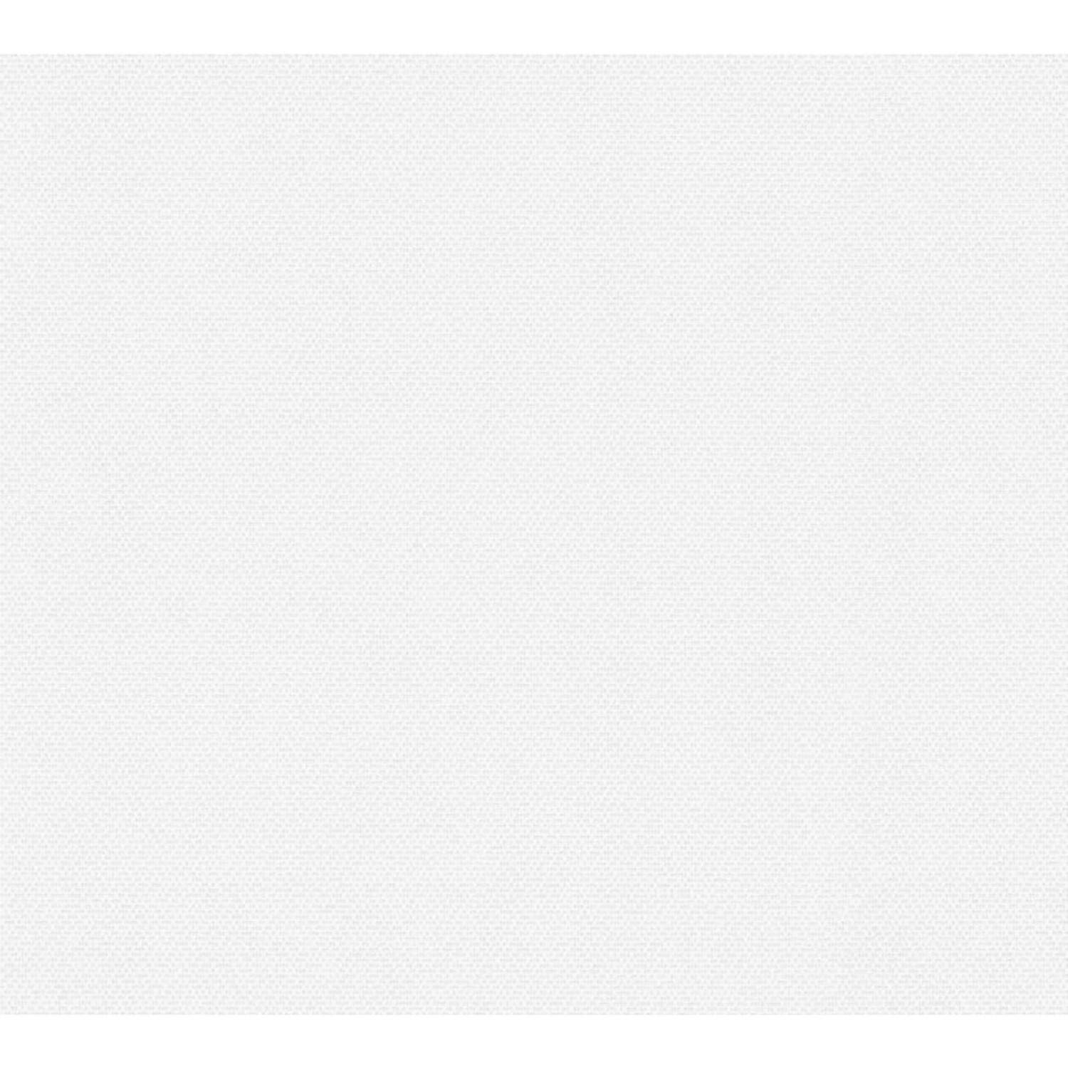 A. S. Creation Přetíratelná vliesová tapeta Meistervlies Creativ bílá 306616