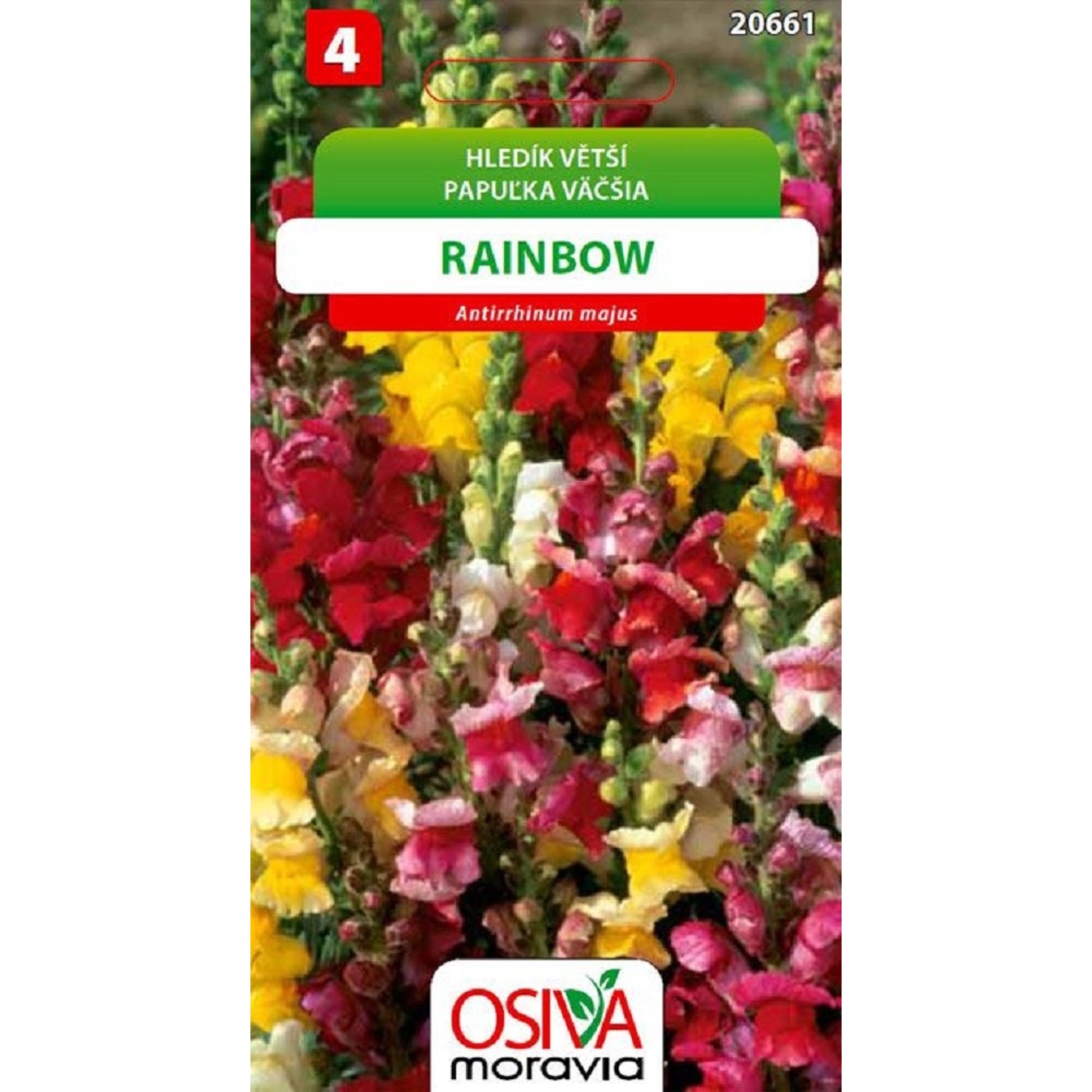 Semínka Hledík větší Rainbow (Antirrhinum majus)