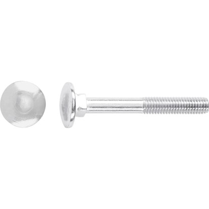 Vratový šroub M5 x 30 mm částečný závit bíle pozinkovaný - na váhu