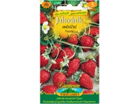 Gardenie Jahodník měsíční