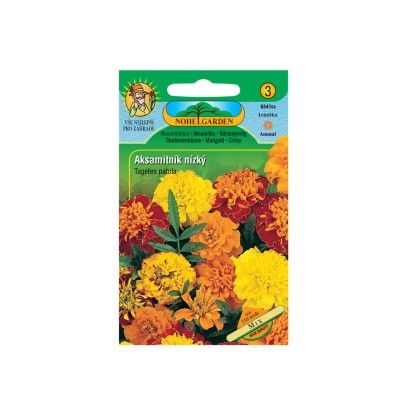 Nohel Garden Aksamitník rozkladitý nízký plnokvětý, směs