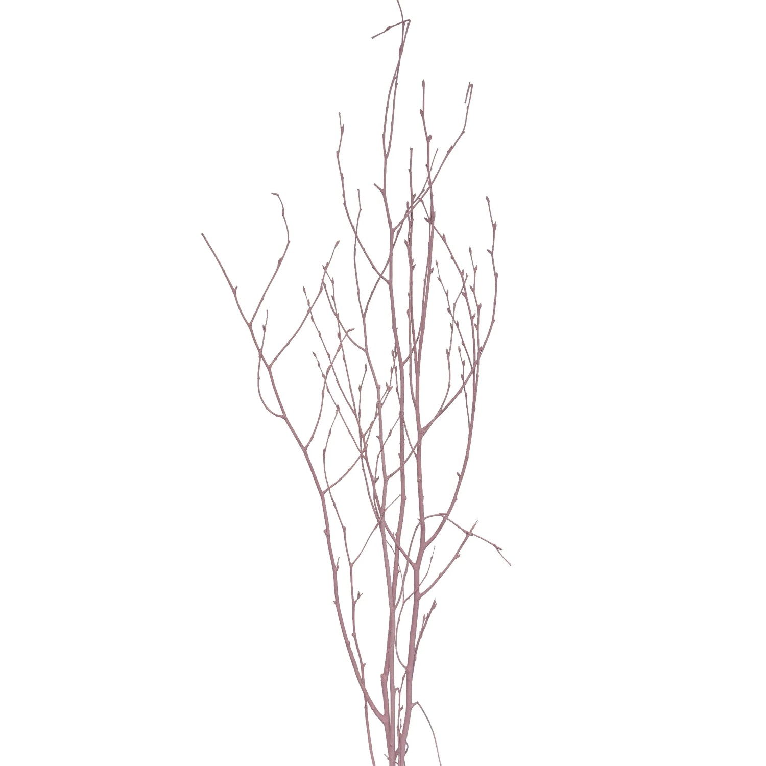 Star Home Decor Březové větvičky svazek Betula pastelově růžové 110 cm