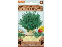 Moravoseed Tymián obecný Moravoseed Tymián obecný
