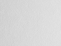 A. S. Creation Přetíratelná vliesová tapeta Meistervlies Creativ bílá 103611