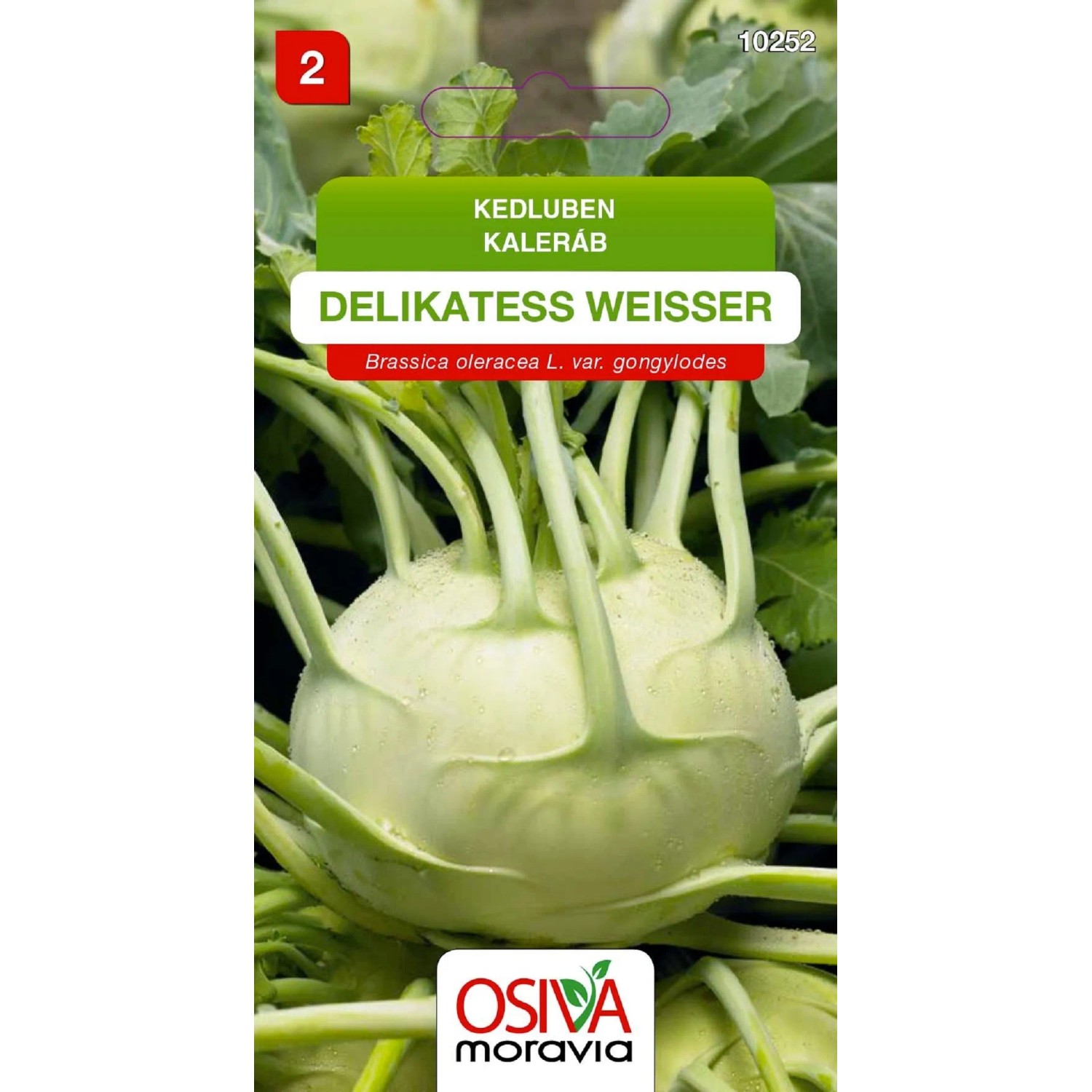 Osiva Moravia Kedluben White Viena