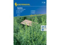 KIEPENKERL Pelyněk estragon (Artemisia dracunculus) Samira KIEPENKERL Pelyněk estragon (Artemisia dracunculus) Samira