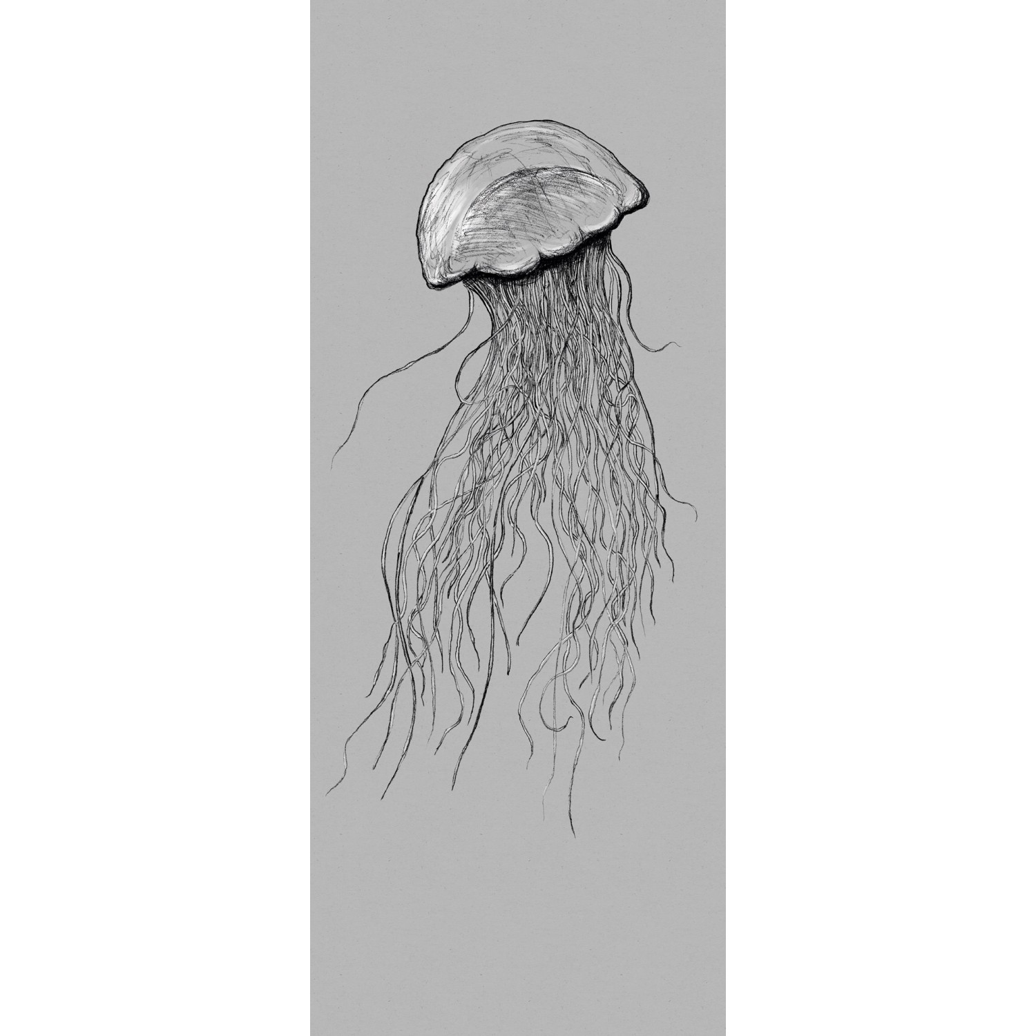 Komar Vliesová fototapeta Jellyfish 100 x 250 cm