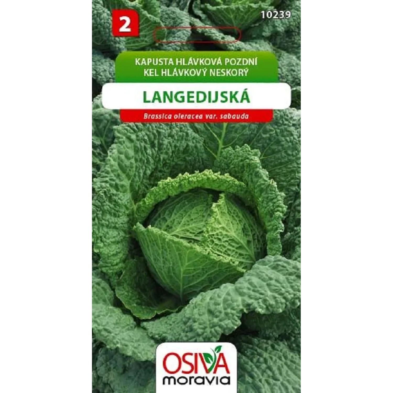 Semínka Kapusta hlávková pozdní Langedijská (Brassica oleracea var. sabauda)