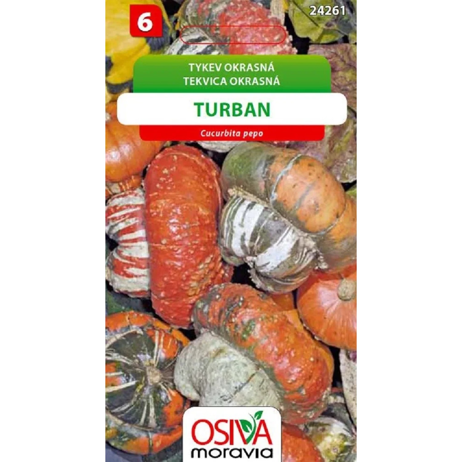 Semínka Tykev okrasná Turban (Cucurbita pepo)