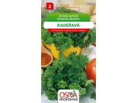 Semínka Petržel naťová Kadeřavá (Petroselinum crispum convar. vulgare)