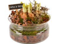 Jarní aranžmá s narcisy 