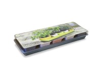 Plastkon Truhlík Minigarden 60 steel Blue Mix 60 x 9 x 20 cm