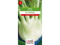Semínka Fenykl Di Firenze (Foeniculum vulgare) Semínka Fenykl Di Firenze (Foeniculum vulgare)