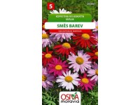 Semínka Kopretina velkokvětá směs barev (Leucanthemum maximum)