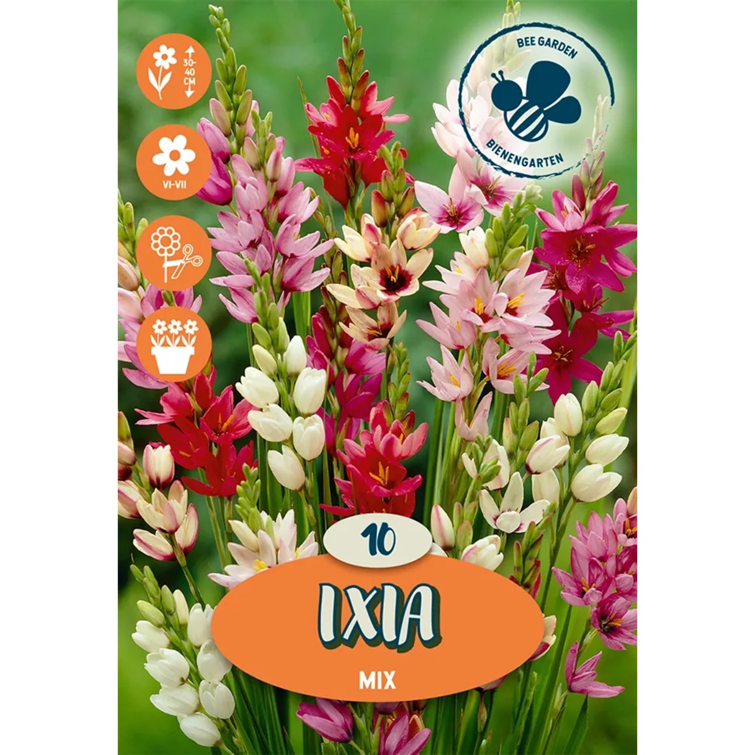 Směs Ixia mix 10 ks