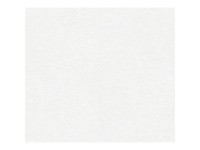 A. S. Creation Přetíratelná vliesová tapeta Meistervlies Creativ bílá 248718 A. S. Creation Přetíratelná vliesová tapeta Meistervlies Creativ bílá 248718