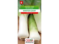 Pór zimní - Winter Giant (Allium porrum)