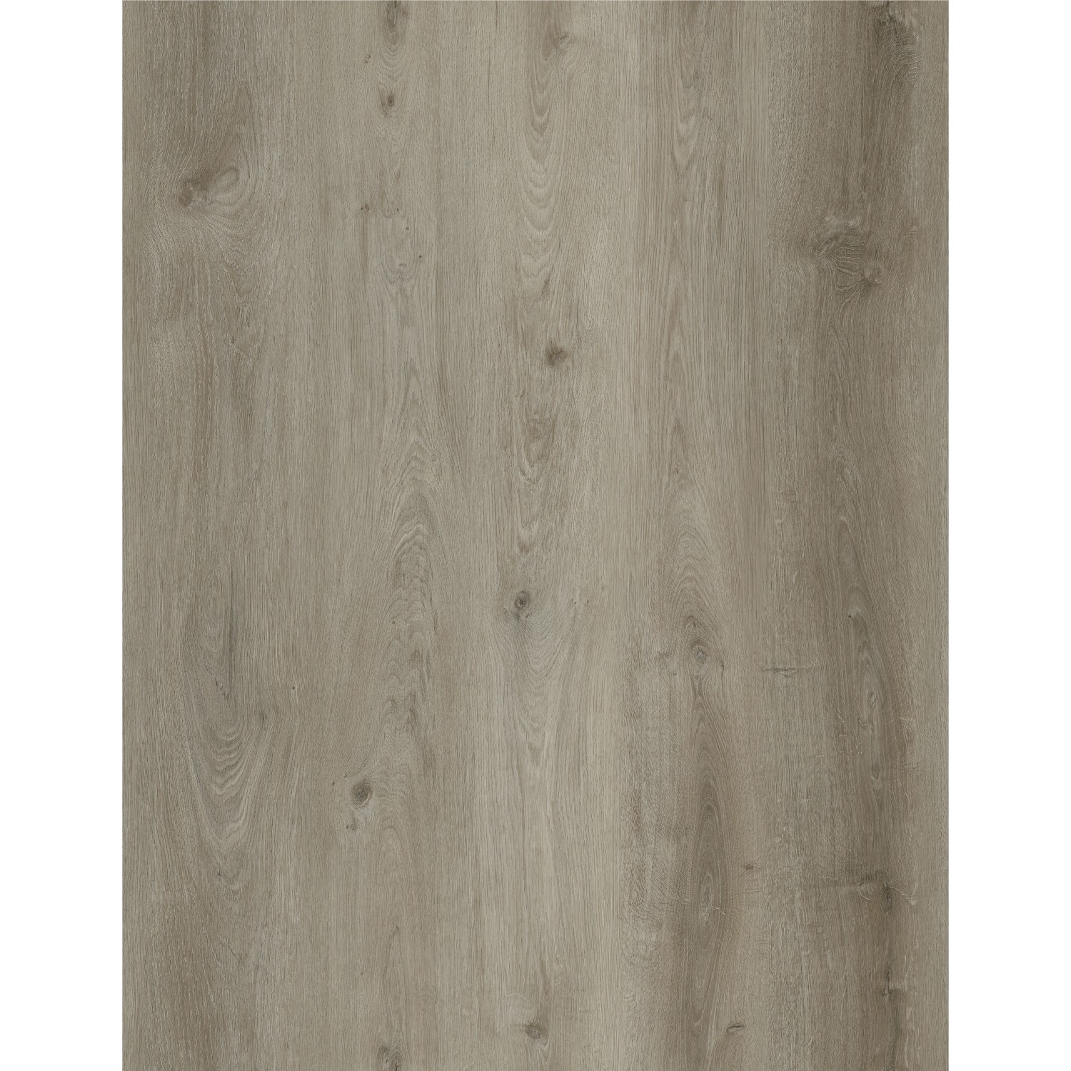 Decoflooring Vinylová podlaha SPC+IXPE, dub Trend, 180 x 1220 x 3,5+1,0 mm