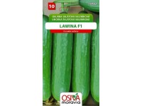 Semínka Okurka salátová skleníková Lawina F1 (Cucumis sativus)