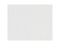 A. S. Creation Přetíratelná vliesová tapeta Meistervlies Creativ bílá 141514 A. S. Creation Přetíratelná vliesová tapeta Meistervlies Creativ bílá 141514