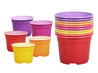 Květináč výsadbový Color Duo 10 ks, pr. 11 cm Květináč výsadbový Color Duo 10 ks, pr. 11 cm