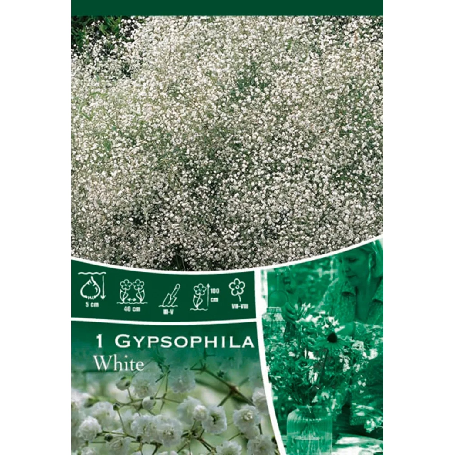 Šater latnatý bílý