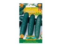 Gardenie Okurka salátová na pole AIKON F1 - hybrid