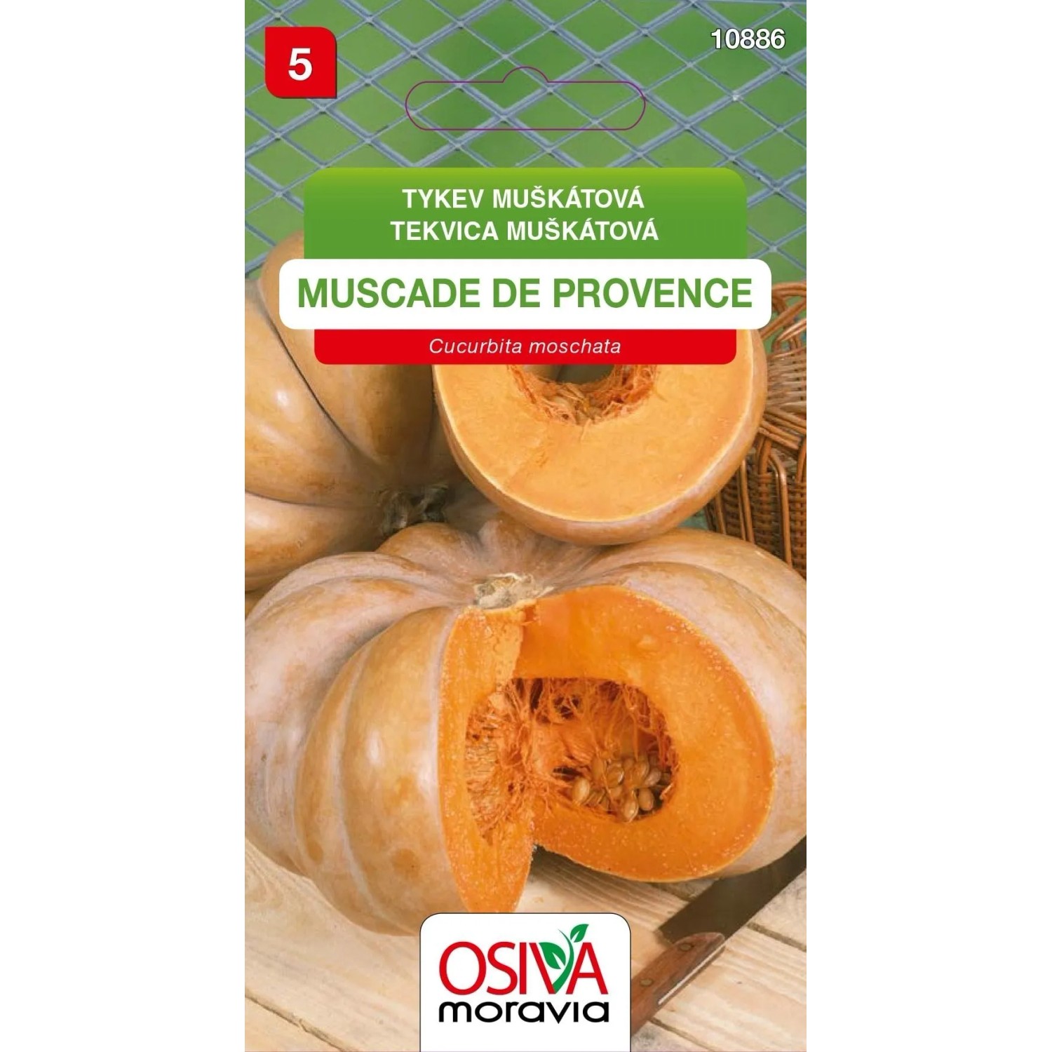 Semínka Tykev muškátová Muscade de Provence (Cucurbita moschata)