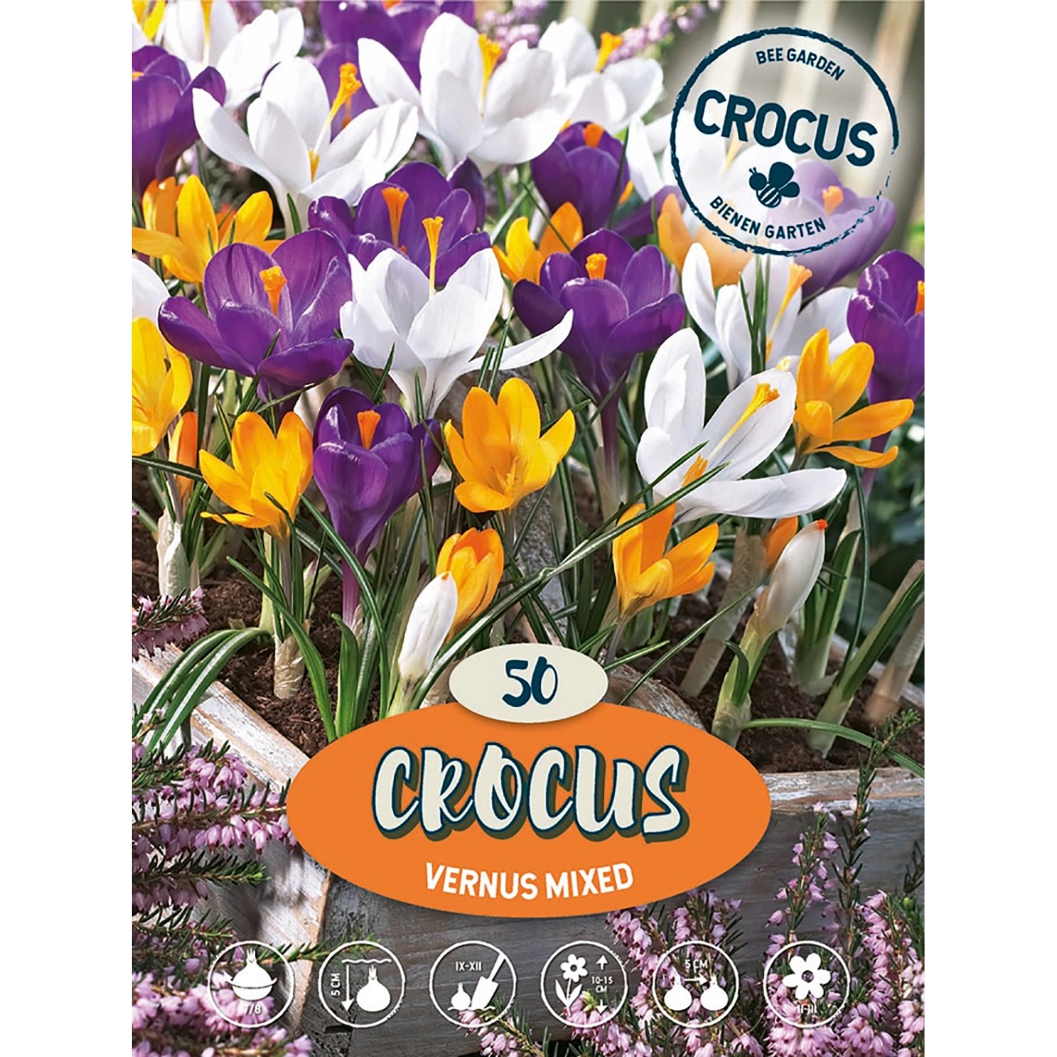 Krokus jarní "Vernus Mix" více barev