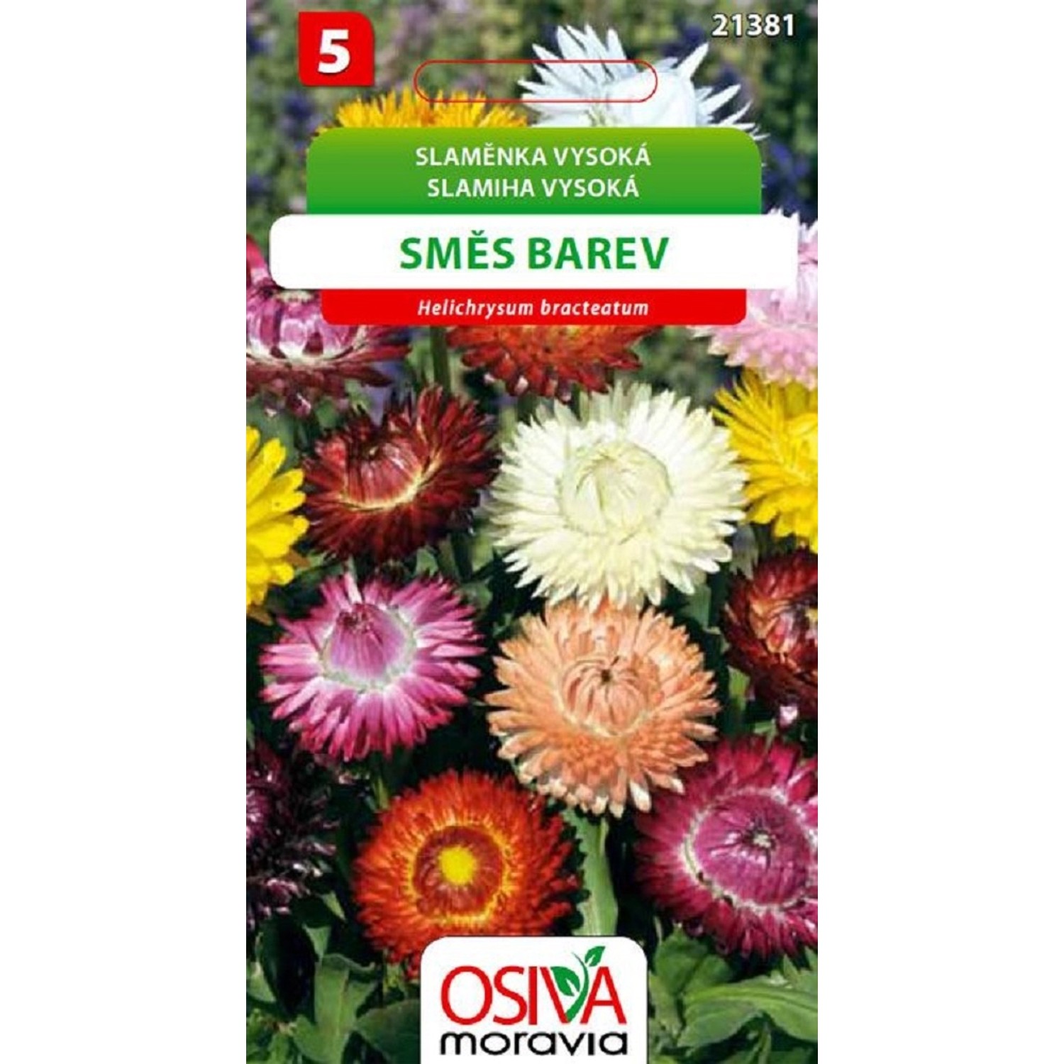 Semínka Slaměnka vysoká směs barev (Helichrysum bracteatum)