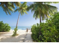 Komar Papírová fototapeta Palmy Beach, 368 x 254 cm Komar Papírová fototapeta Palmy Beach, 368 x 254 cm