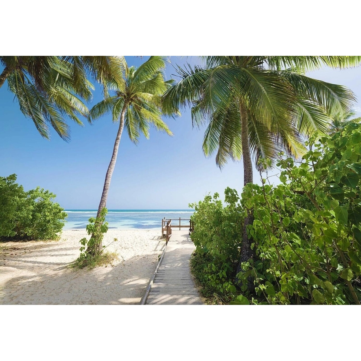 Komar Papírová fototapeta Palmy Beach, 368 x 254 cm