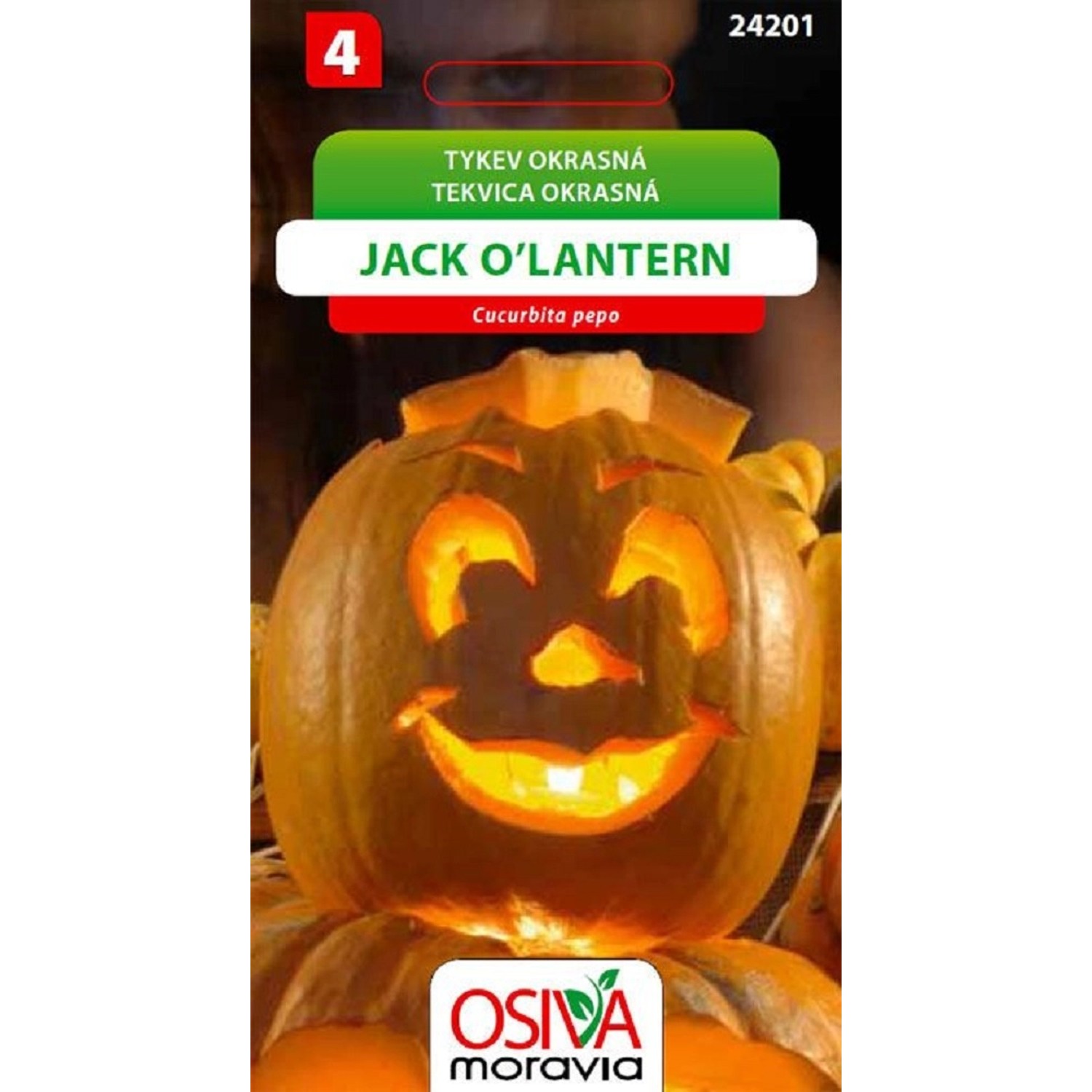 Semínka Tykev okrasná Jack O'Lantern (Cucurbita pepo)