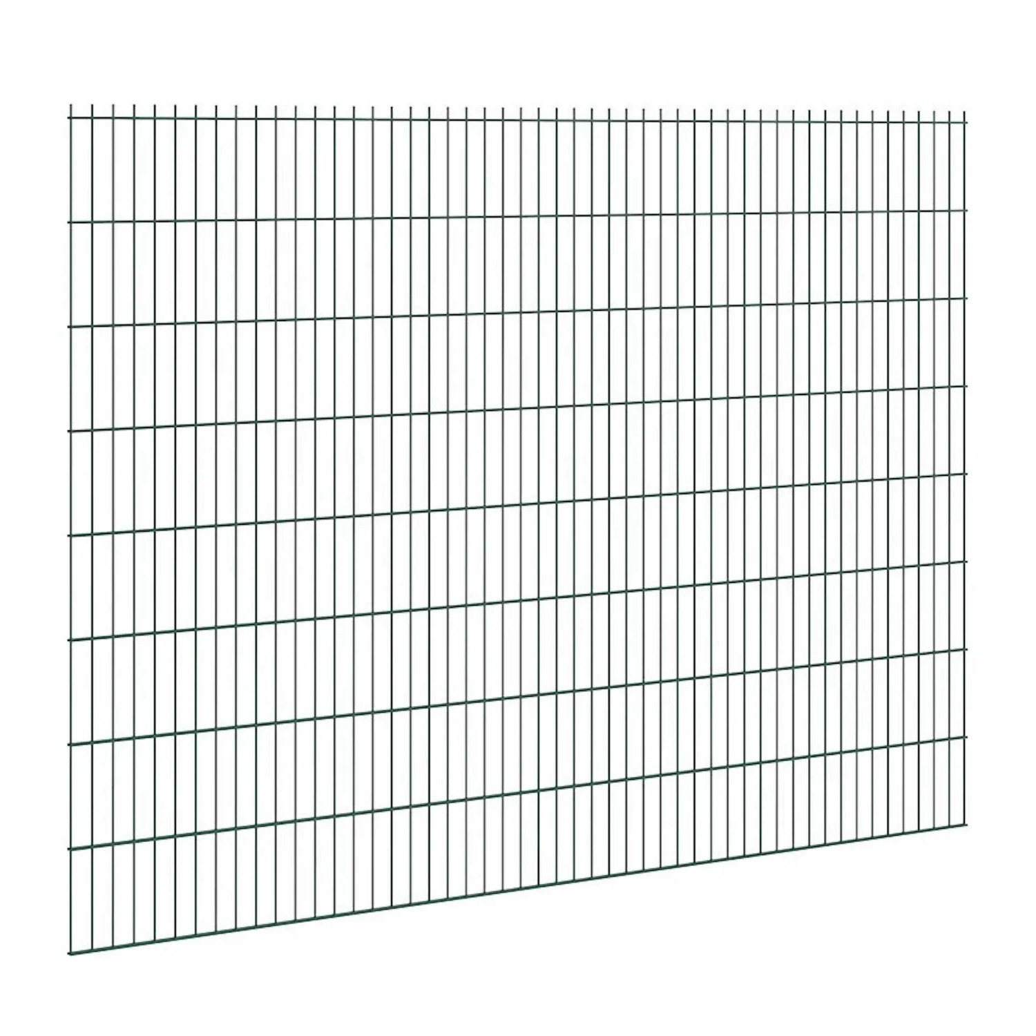 Floraworld Drátěný plotový panel, dvojitý 6/5/6, zelená, 163 x 251 cm