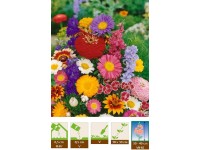 GardenSeed Premium Semínka Letničky k řezu směs 0,5 g