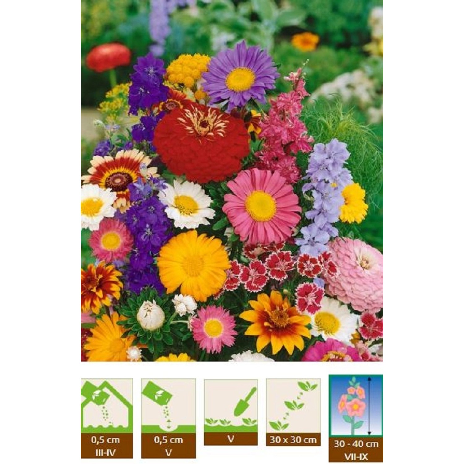 GardenSeed Premium Semínka Letničky k řezu směs 0,5 g