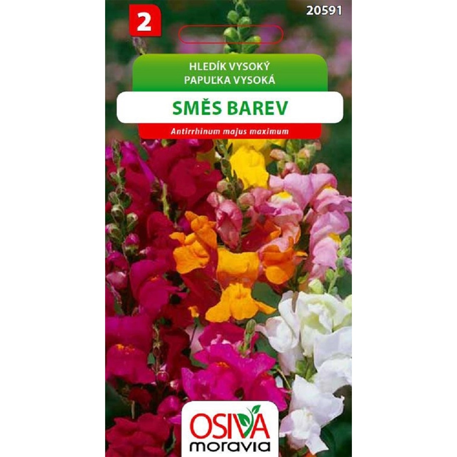 Semínka Hledík vysoký směs barev (Antirrhinum majus maximum)