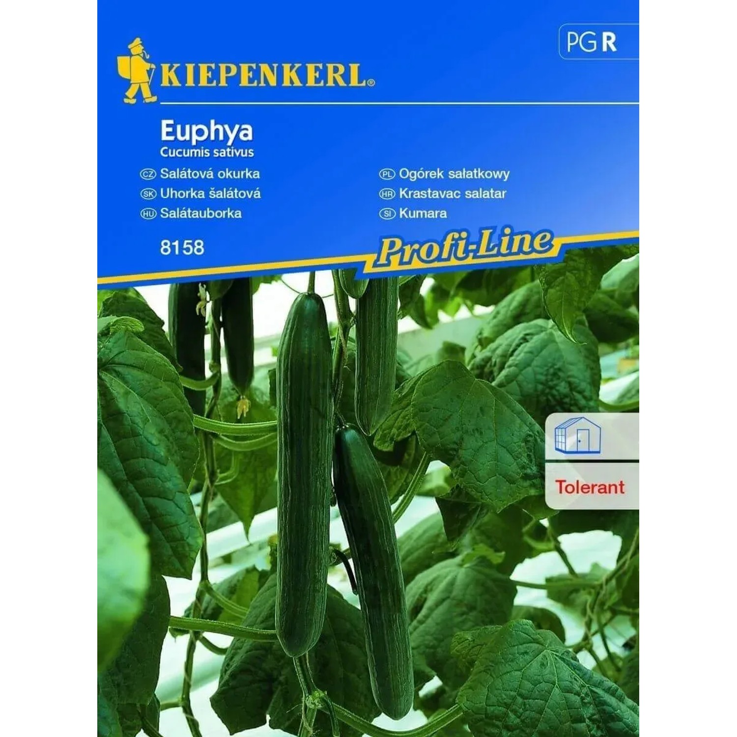 Kiepenkerl Semena Salátová okurka Euphya