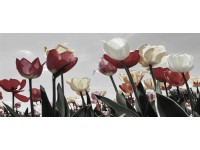 Bondecor Obraz, tištěné plátno Romance 50 x 120 cm