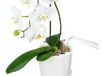 Lechuza Samozavlažovací květináč DELTINI bílá lesklá, 15 x 15 x 19 cm Lechuza Samozavlažovací květináč DELTINI bílá lesklá, 15 x 15 x 19 cm