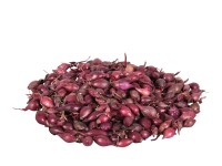 Cibule sazečka KARMEN 500 g, 8-21 mm Cibule sazečka KARMEN 500 g, 8-21 mm