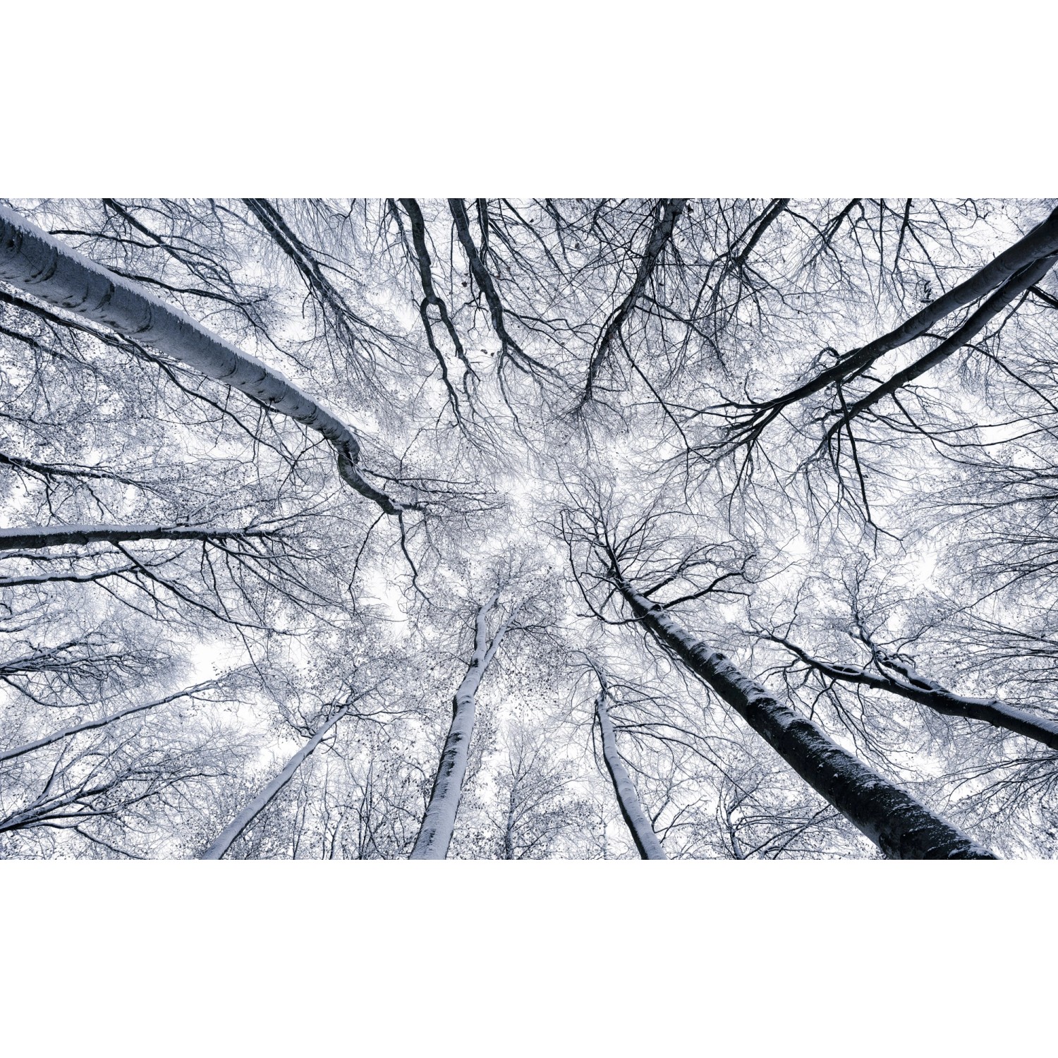 Komar Vliesová fototapeta Up 400 x 250 cm