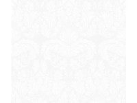 A. S. Creation Přetíratelná vliesová tapeta Meistervlies Creativ bílá 951351 A. S. Creation Přetíratelná vliesová tapeta Meistervlies Creativ bílá 951351