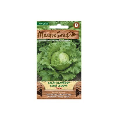 MoravoSeed Salát hlávkový letní ledový TRAPER