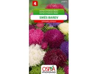 Semínka Astra vysoká k řezu směs barev (Callistephus chinensis)