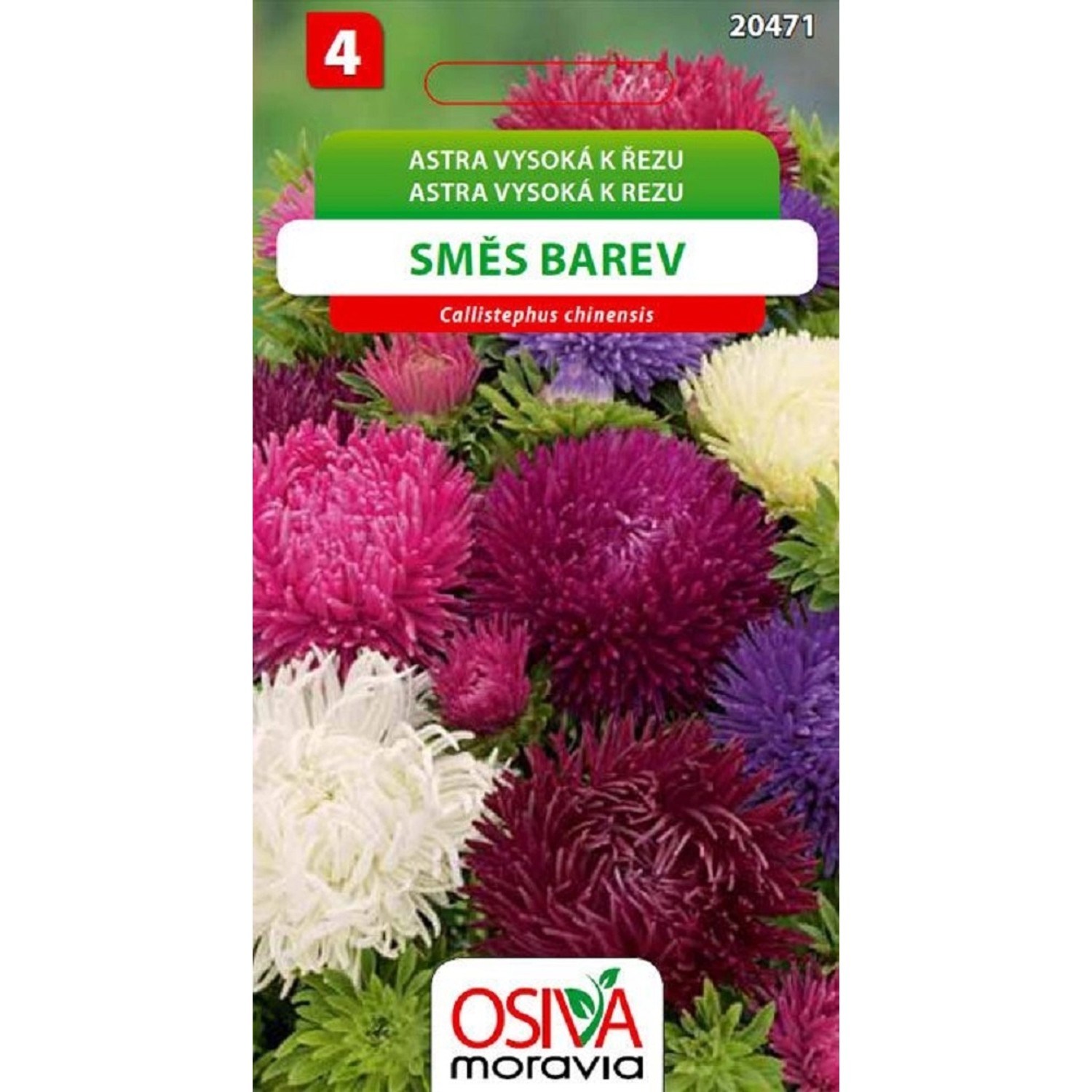 Semínka Astra vysoká k řezu směs barev (Callistephus chinensis)