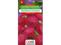 Semínka Astra Čínská - Pomponkovitá, červená (Callistephus chinensis)