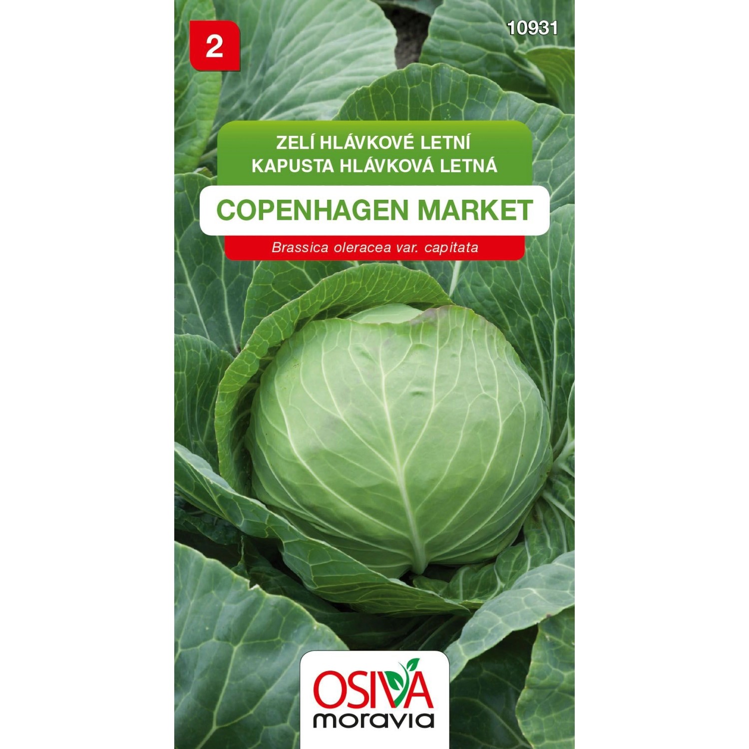 Semínka Zelí hlávkové letní Copenhagen Market (Brassica oleracea var. capitata)