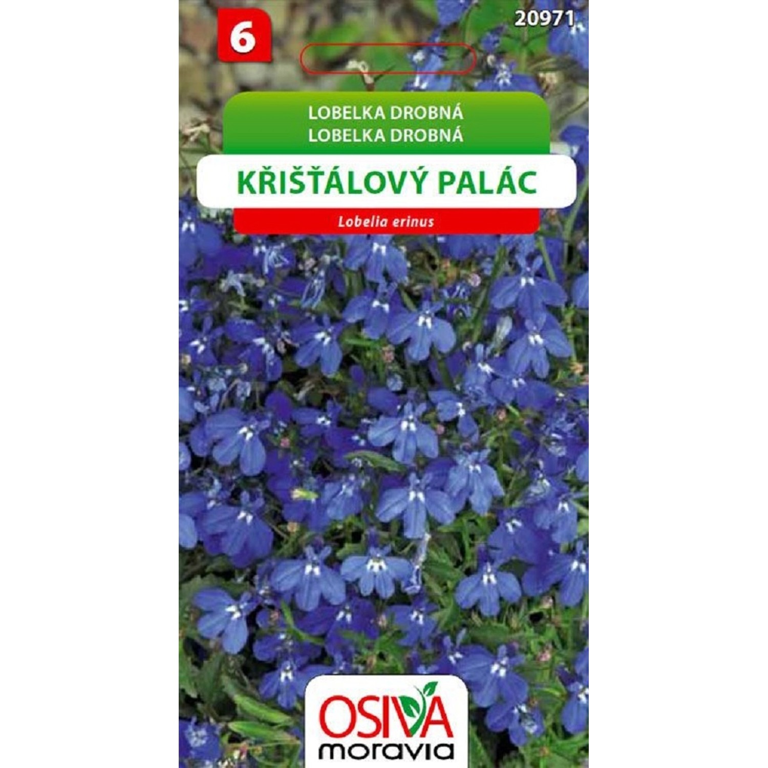 Semínka Lobelka drobná Křišťálový palác (Lobelia erinus)